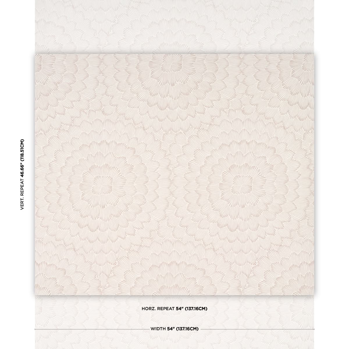 FEATHER BLOOM_ SOFT NEUTRAL