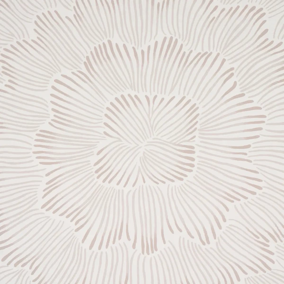 FEATHER BLOOM_ SOFT NEUTRAL
