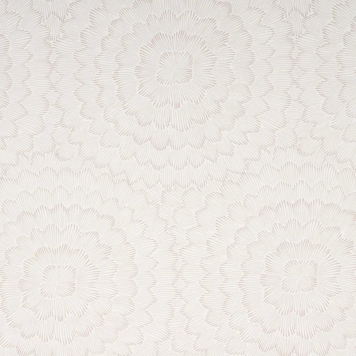 FEATHER BLOOM_ SOFT NEUTRAL