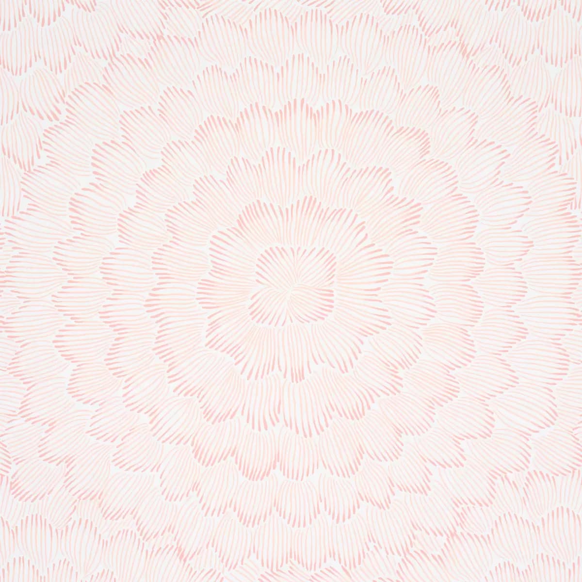 FEATHER BLOOM_ SALMON