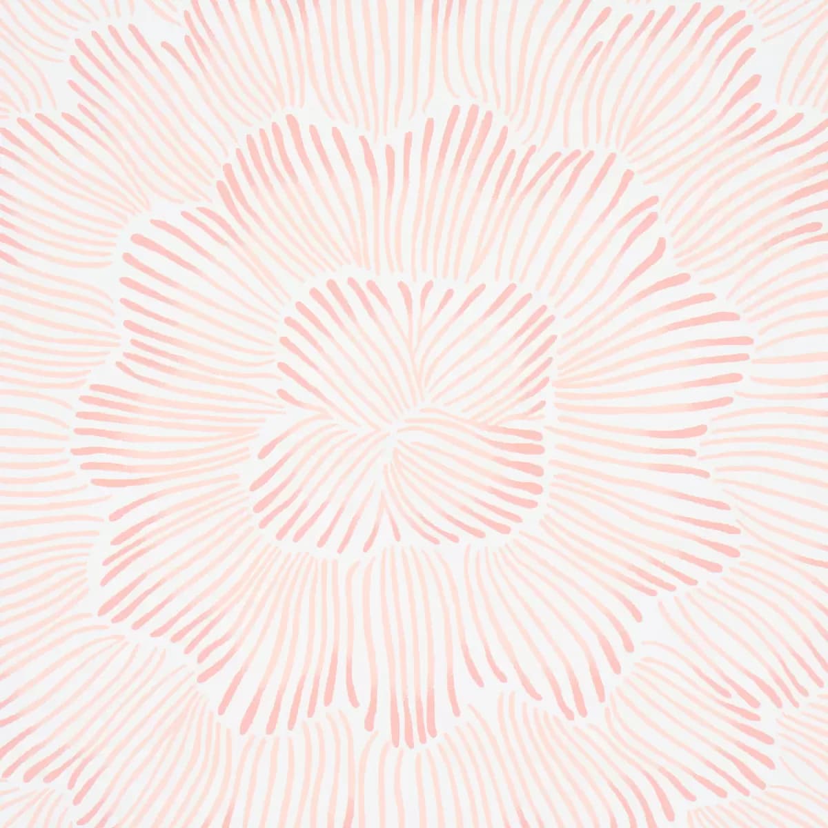 FEATHER BLOOM_ SALMON
