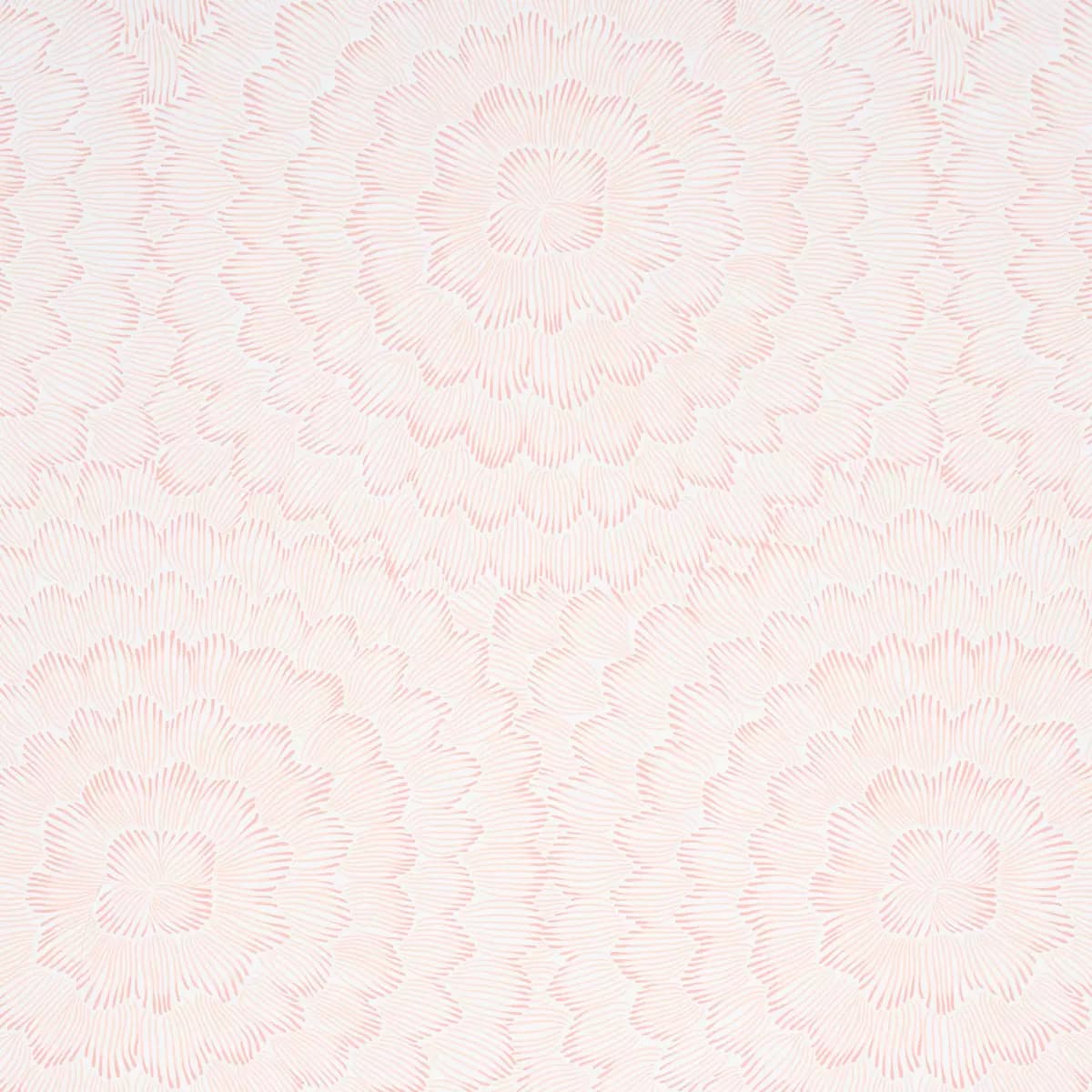 FEATHER BLOOM_ SALMON