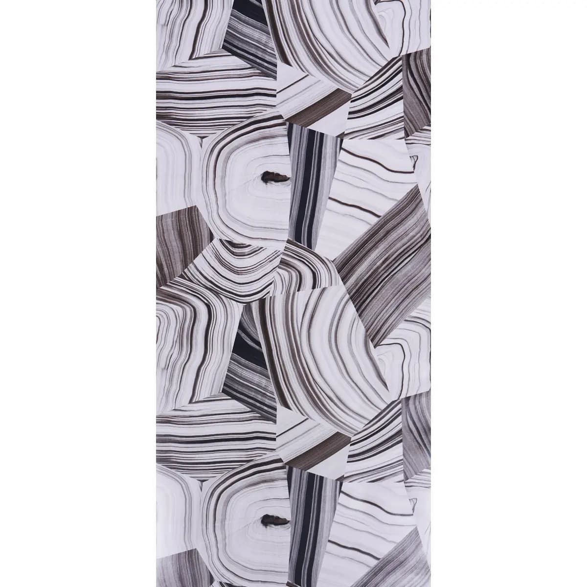 AGATE SLICE_ BLACK AND WHITE