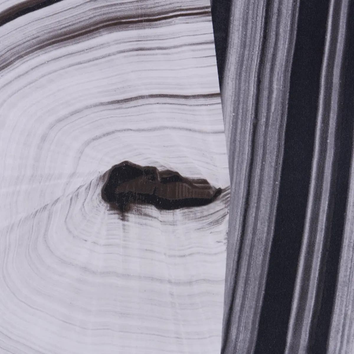 AGATE SLICE_ BLACK AND WHITE