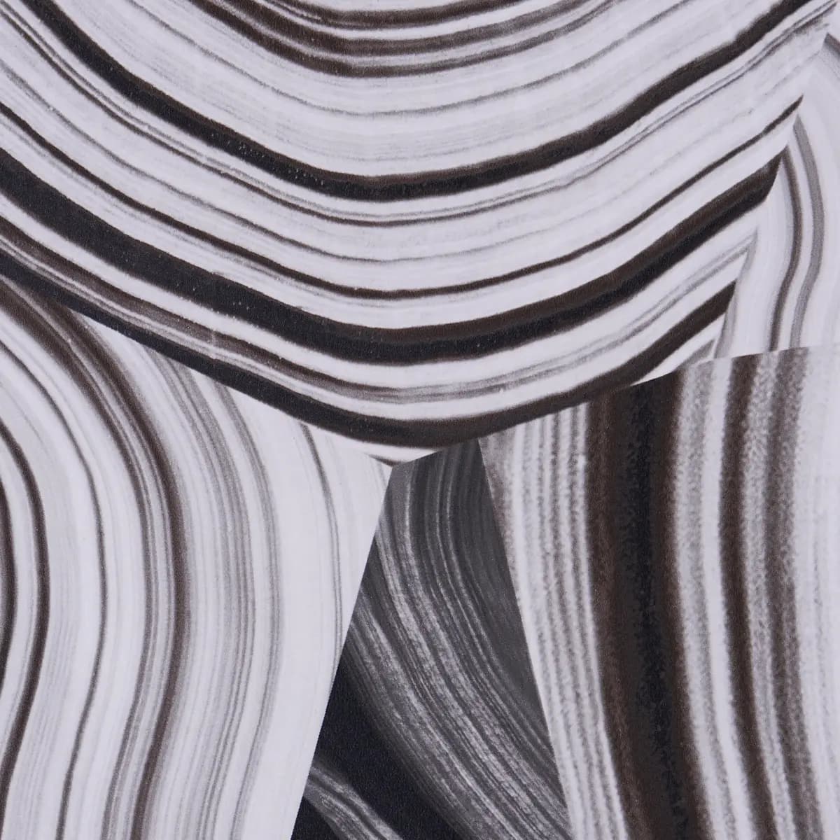 AGATE SLICE_ BLACK AND WHITE
