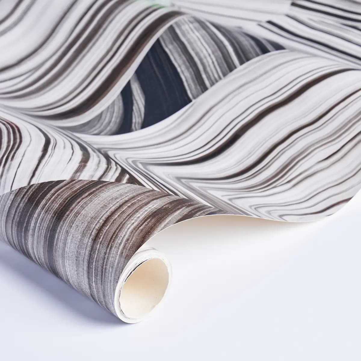 AGATE SLICE_ BLACK AND WHITE