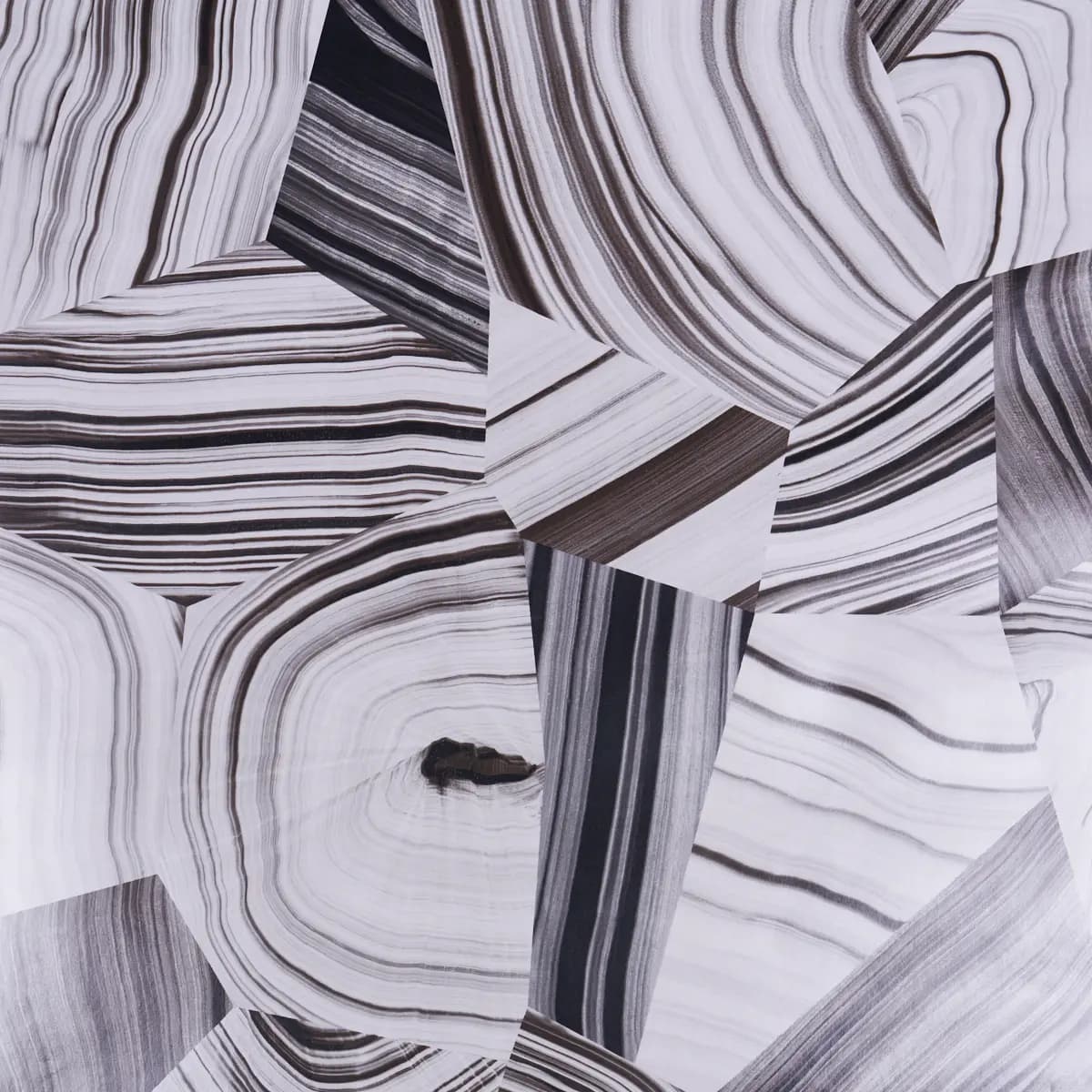 AGATE SLICE_ BLACK AND WHITE