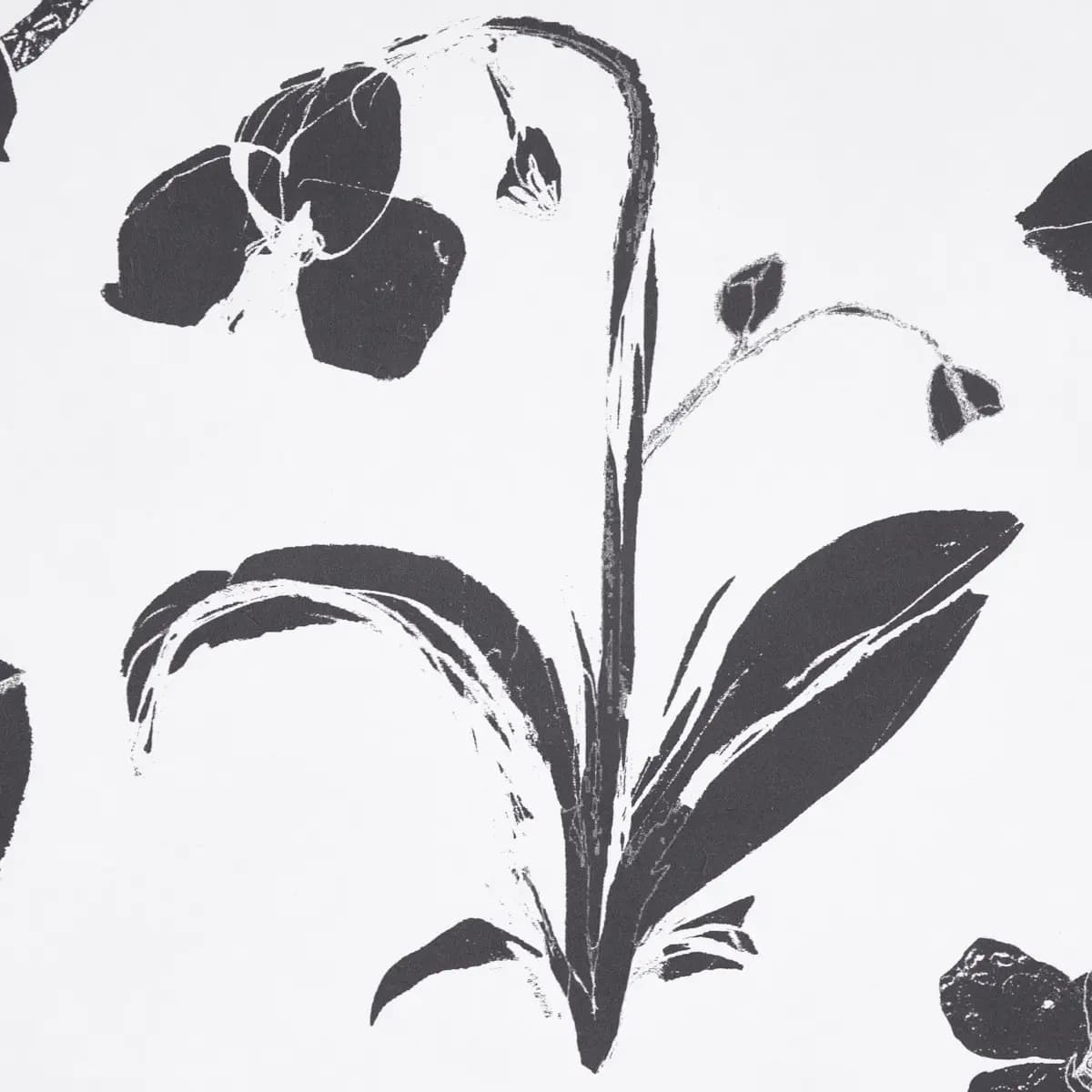 ORCHIDS HAVE DREAMS_ SOFT BLACK