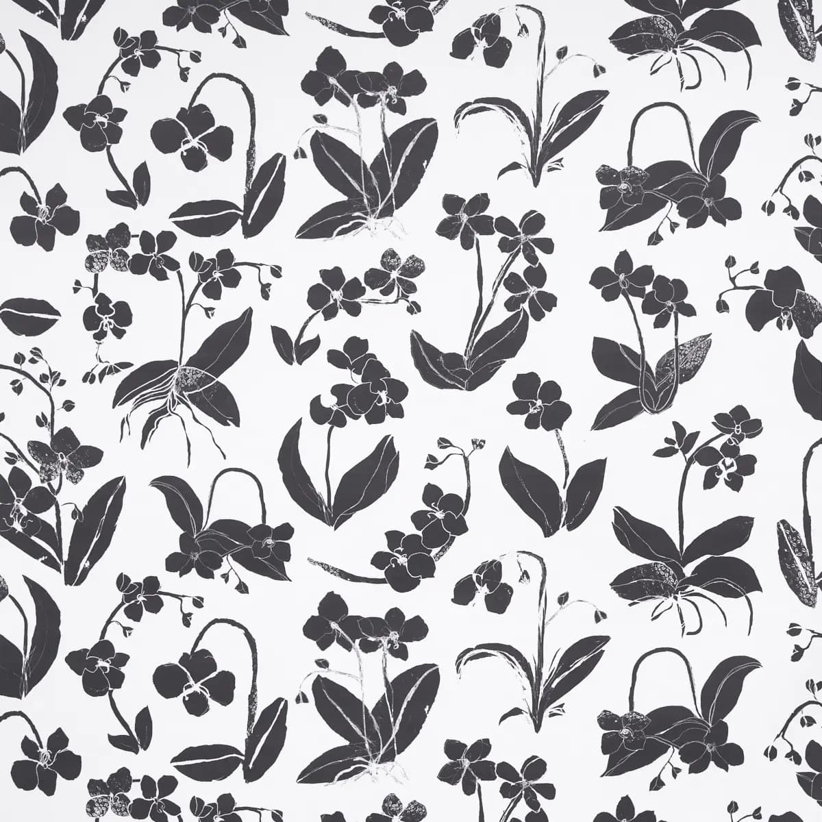 ORCHIDS HAVE DREAMS_ SOFT BLACK