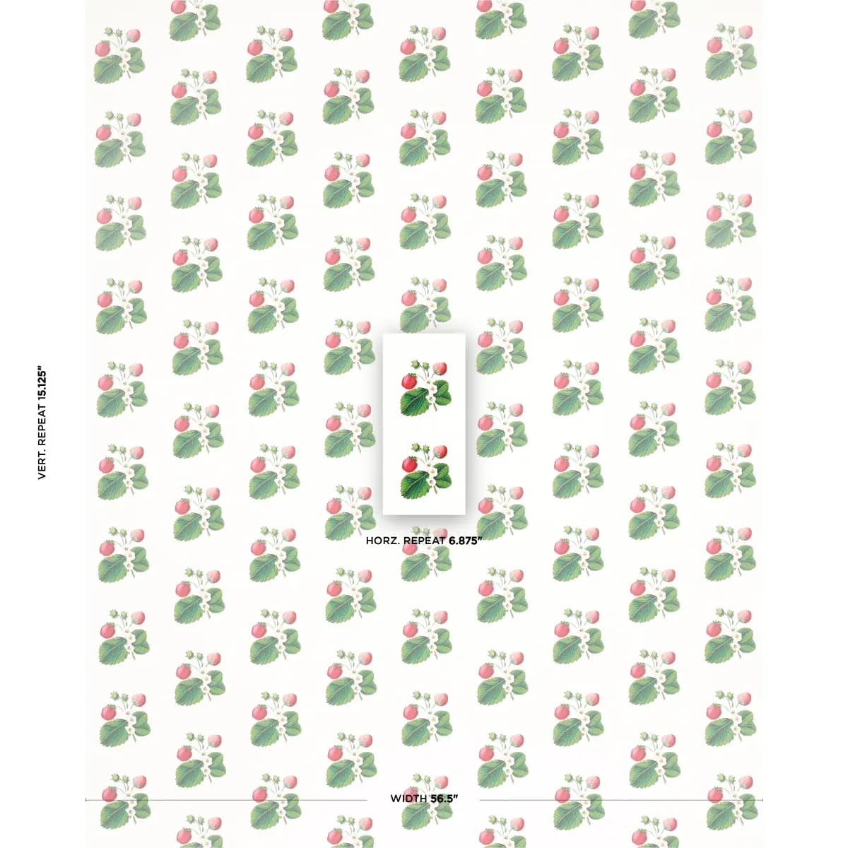 STRAWBERRY HILL_ WHITE