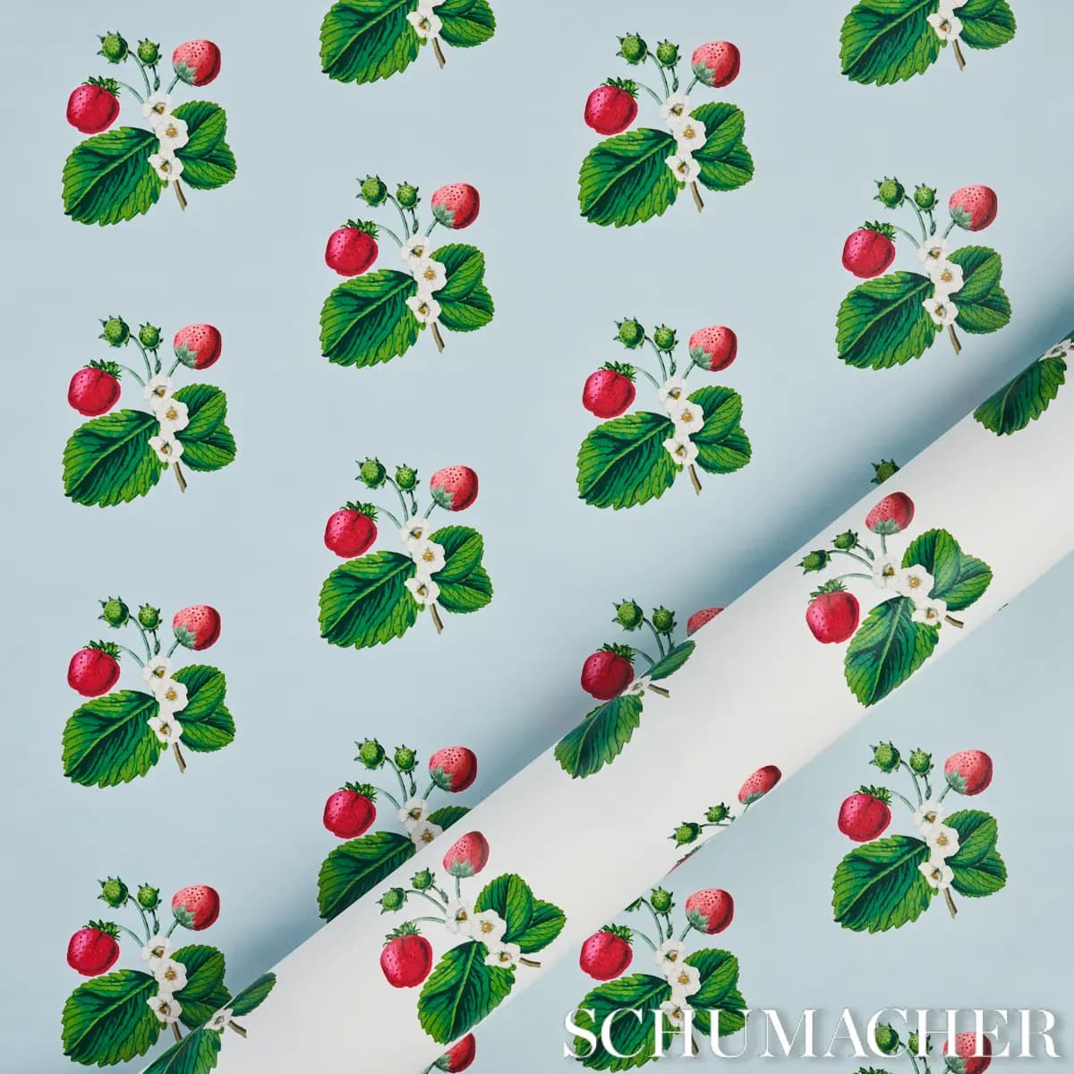 STRAWBERRY HILL_ WHITE