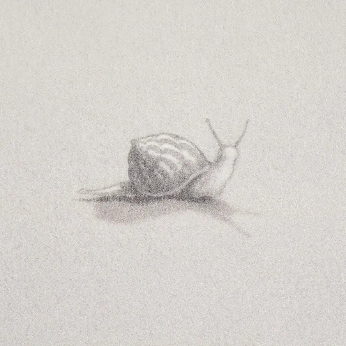 OUVREZ MOI_ GREY