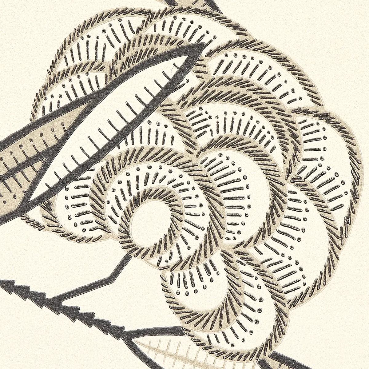JACOB'S TREE_ BLACK & CREAM