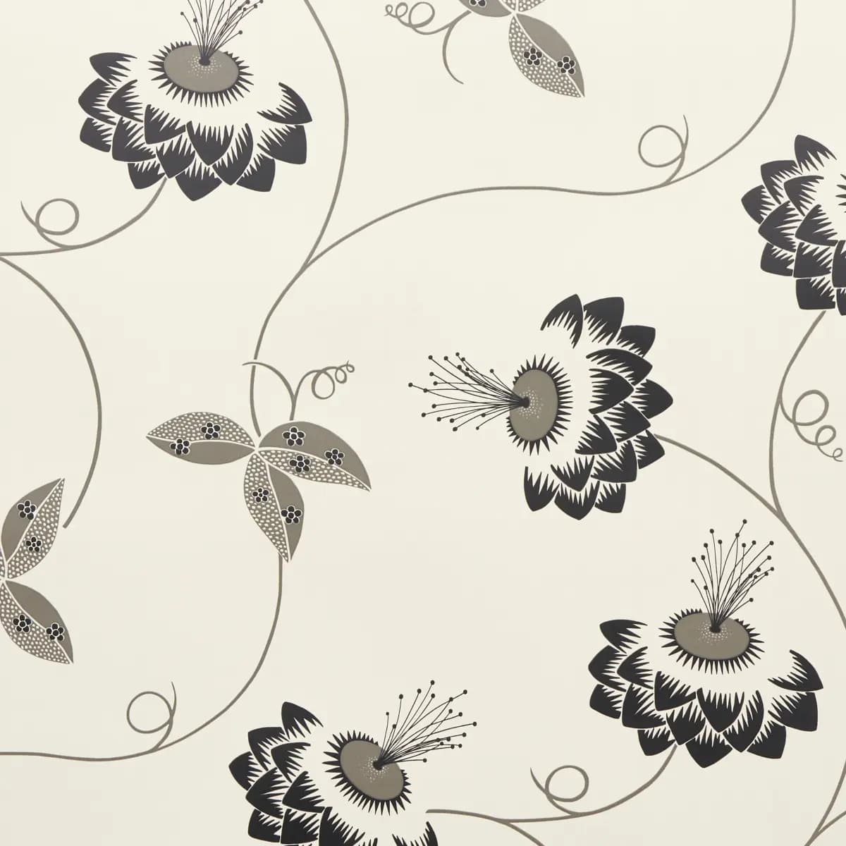 MERLIN_ BLACK & CREAM