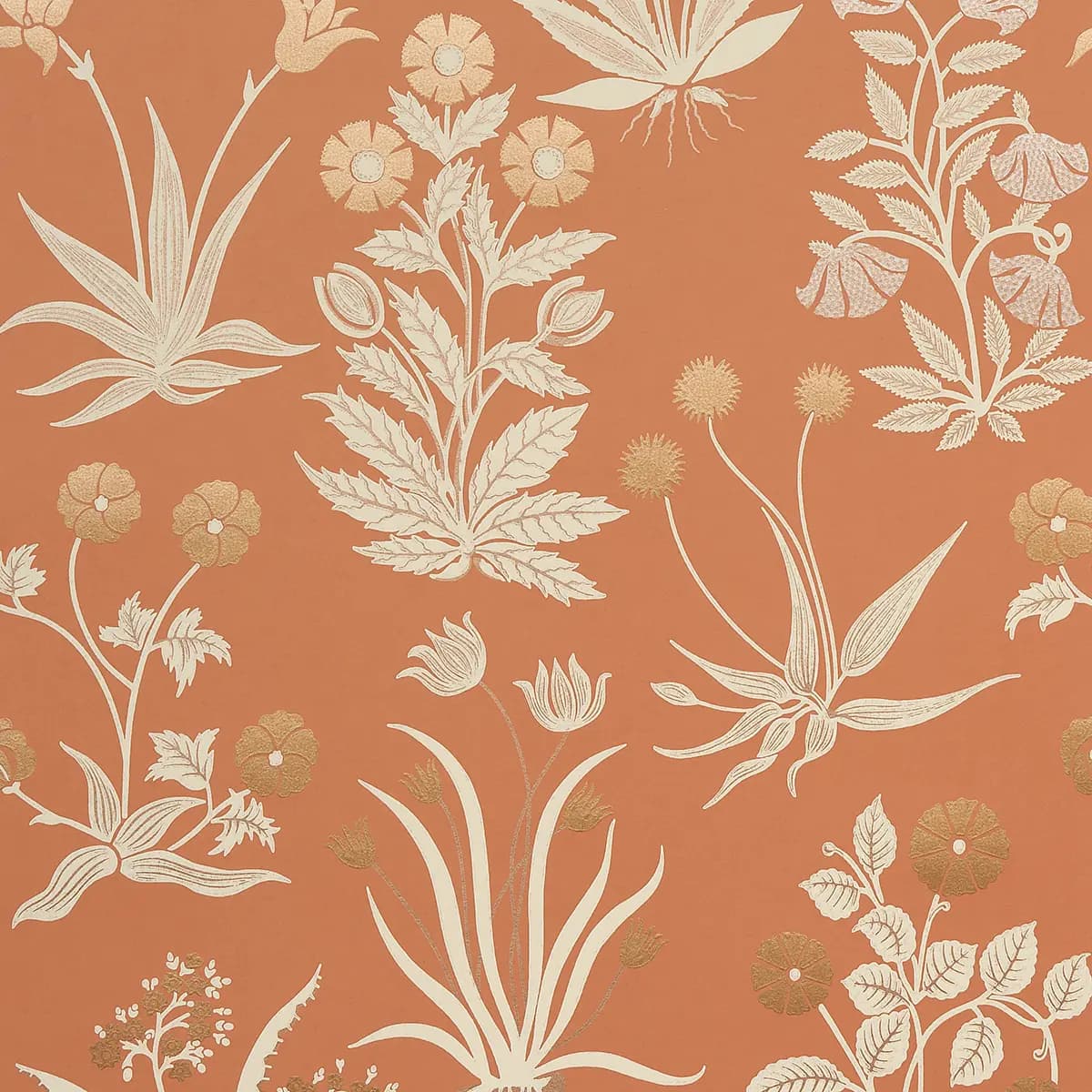 CULPEPER_ OX ORANGE
