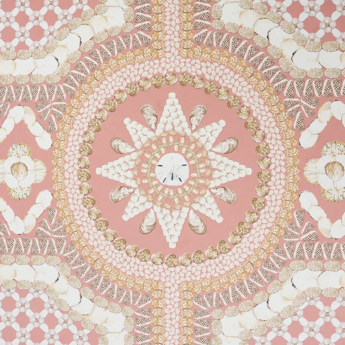 SHELL GROTTO PANEL A_ CORAL