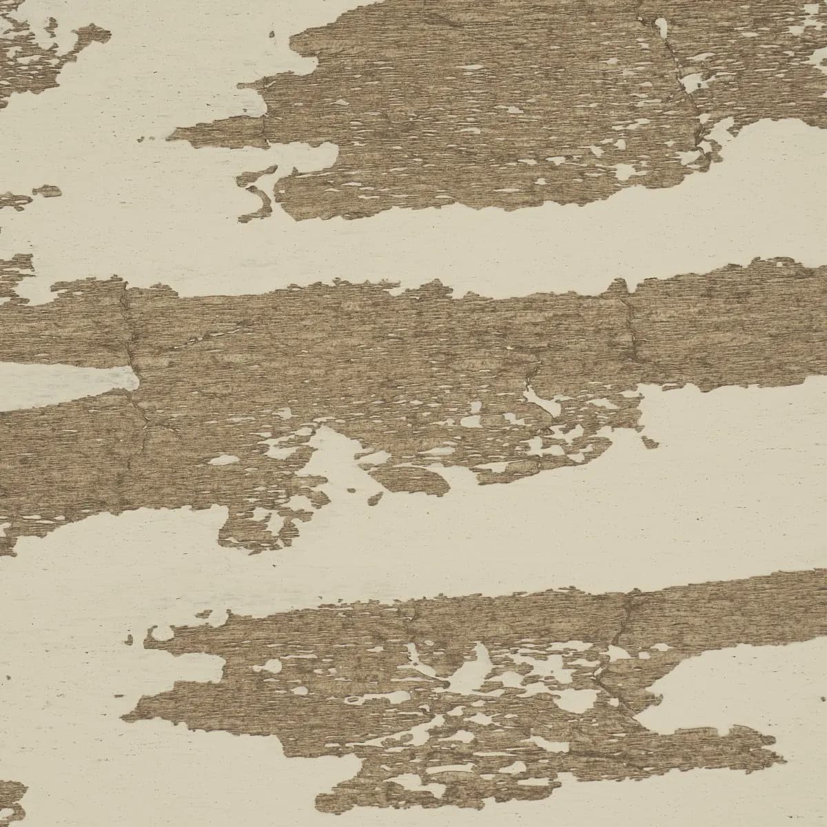 PLASTERED MANUSCRIPT_ BIRCH