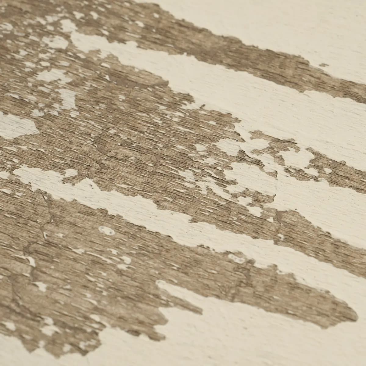 PLASTERED MANUSCRIPT_ BIRCH