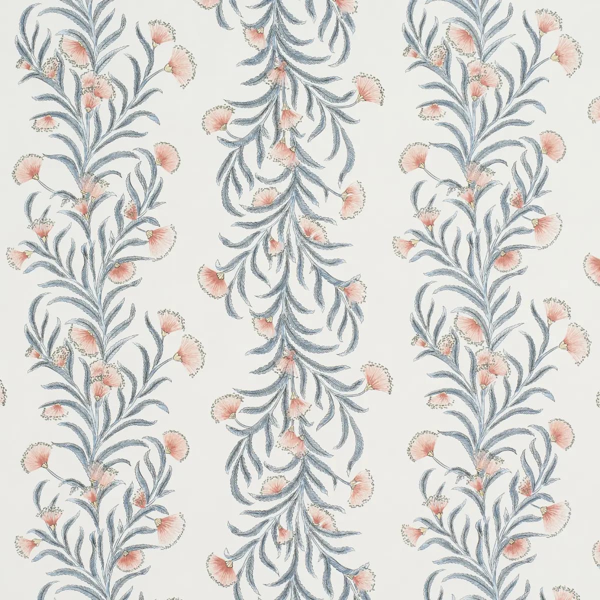 TASMANIAN MIMOSA_ PINK & GREY