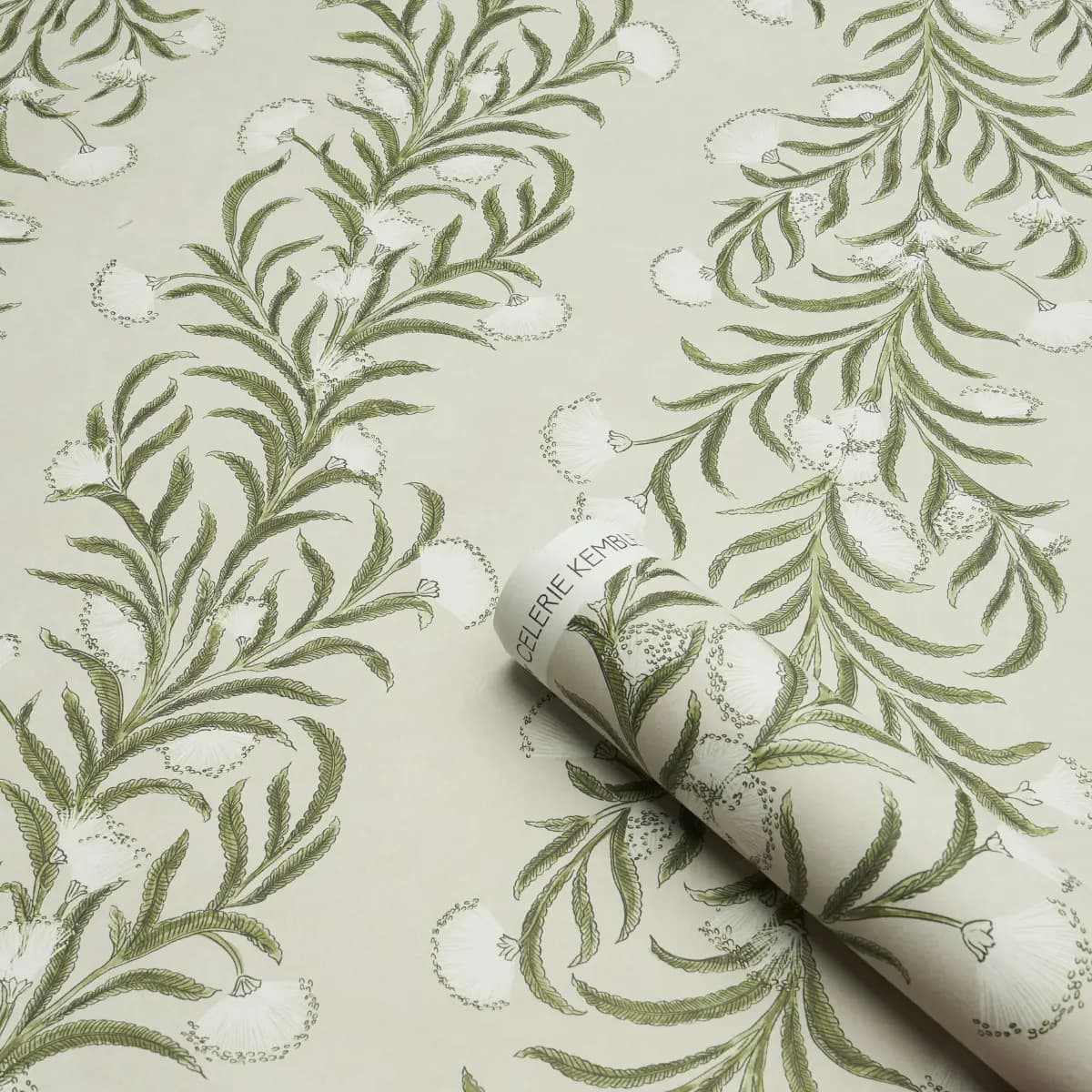 TASMANIAN MIMOSA_ IVORY & GREEN