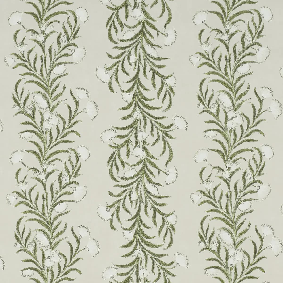 TASMANIAN MIMOSA_ IVORY & GREEN