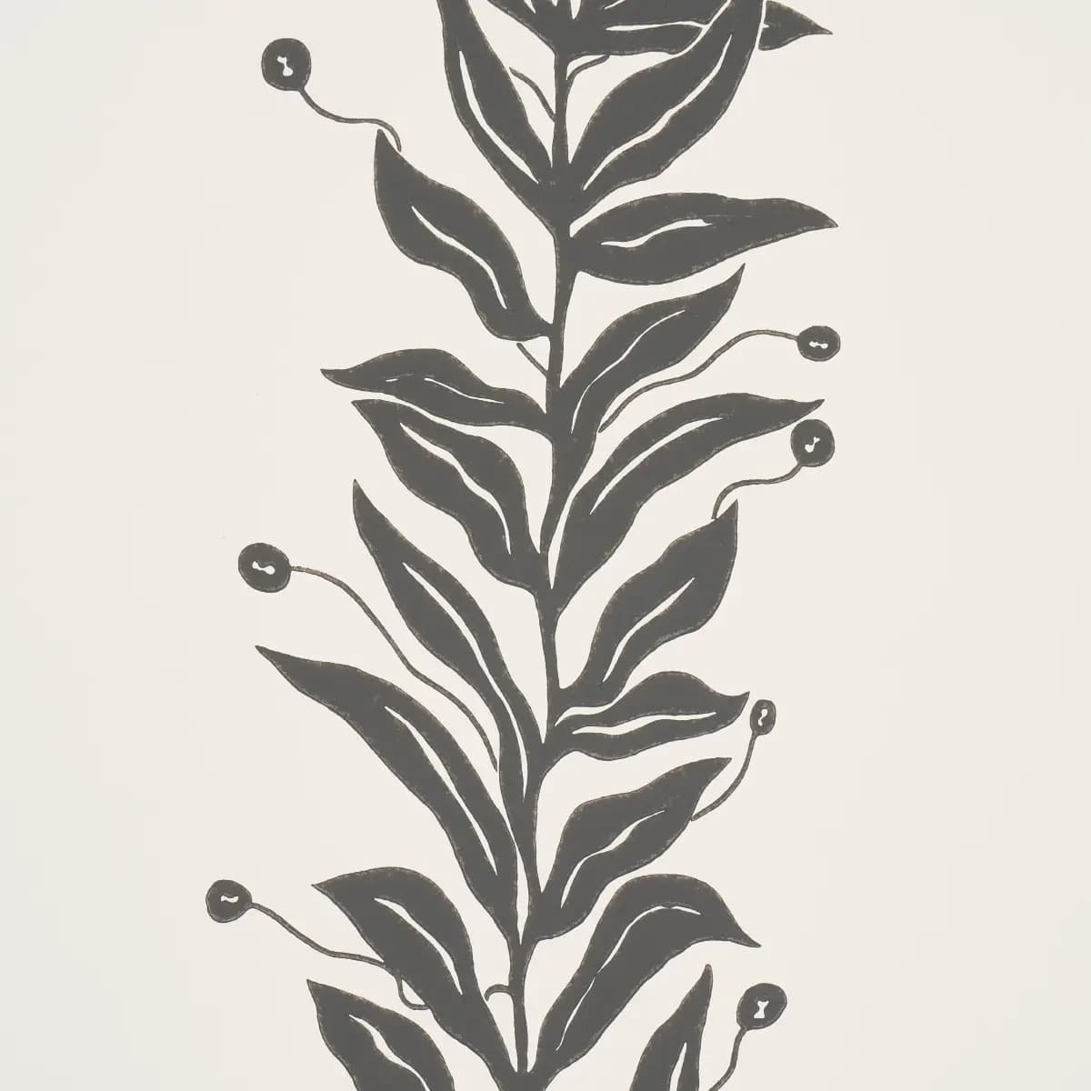TENDRIL STRIPE_ BLACK & CREAM