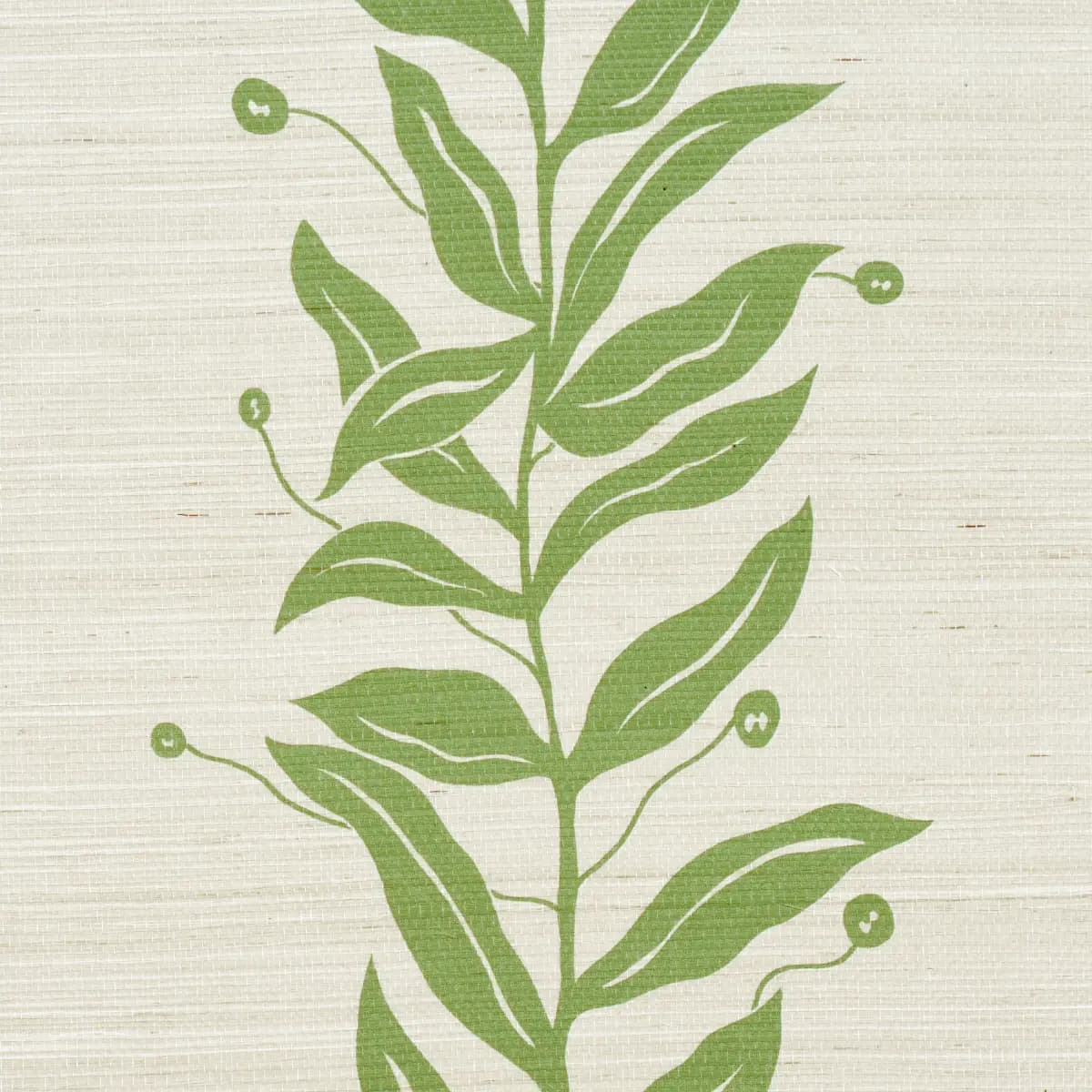TENDRIL STRIPE SISAL_ OLIVE