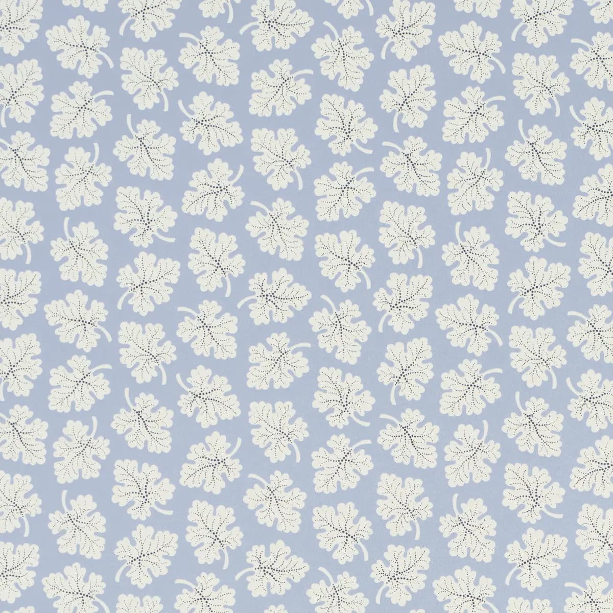 Olive_ SKY