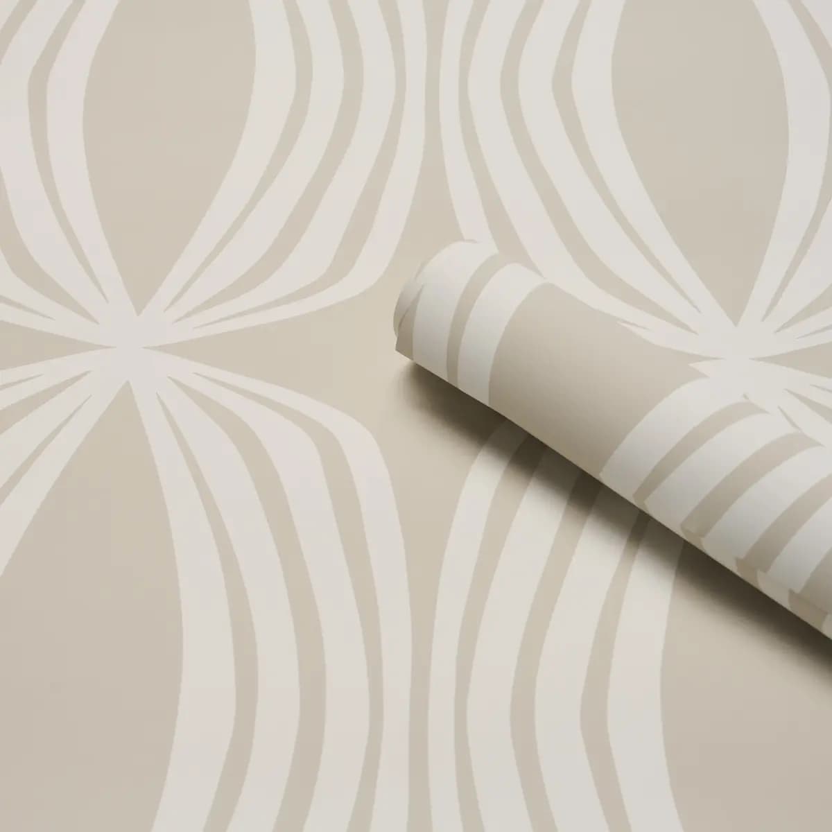 FONTANA_ BIRCH