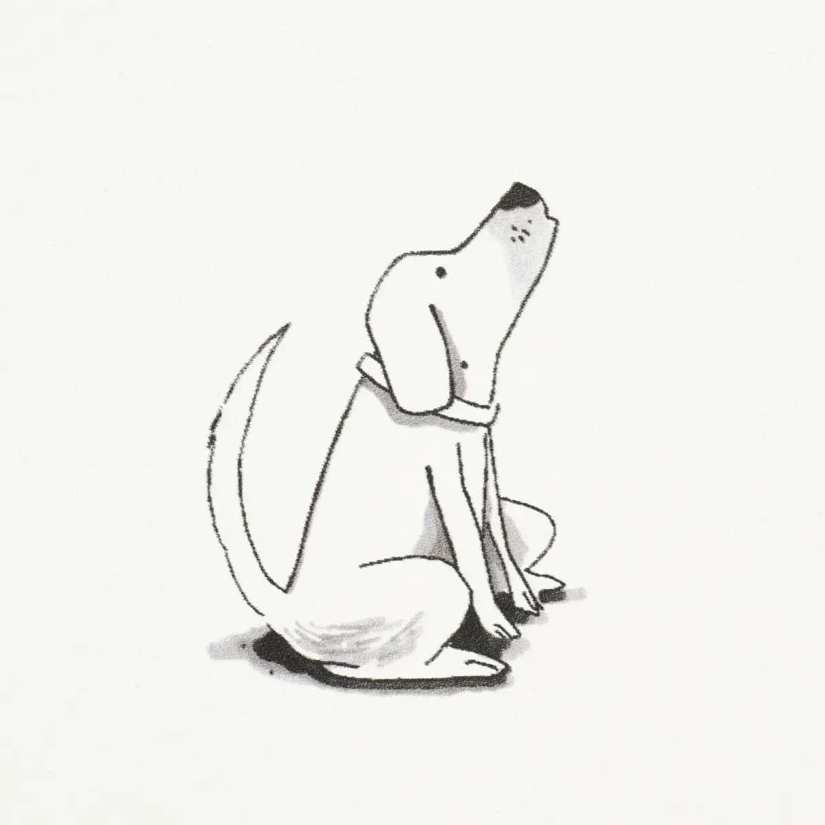 Good Dogs Everywhere_ BLACK & WHITE