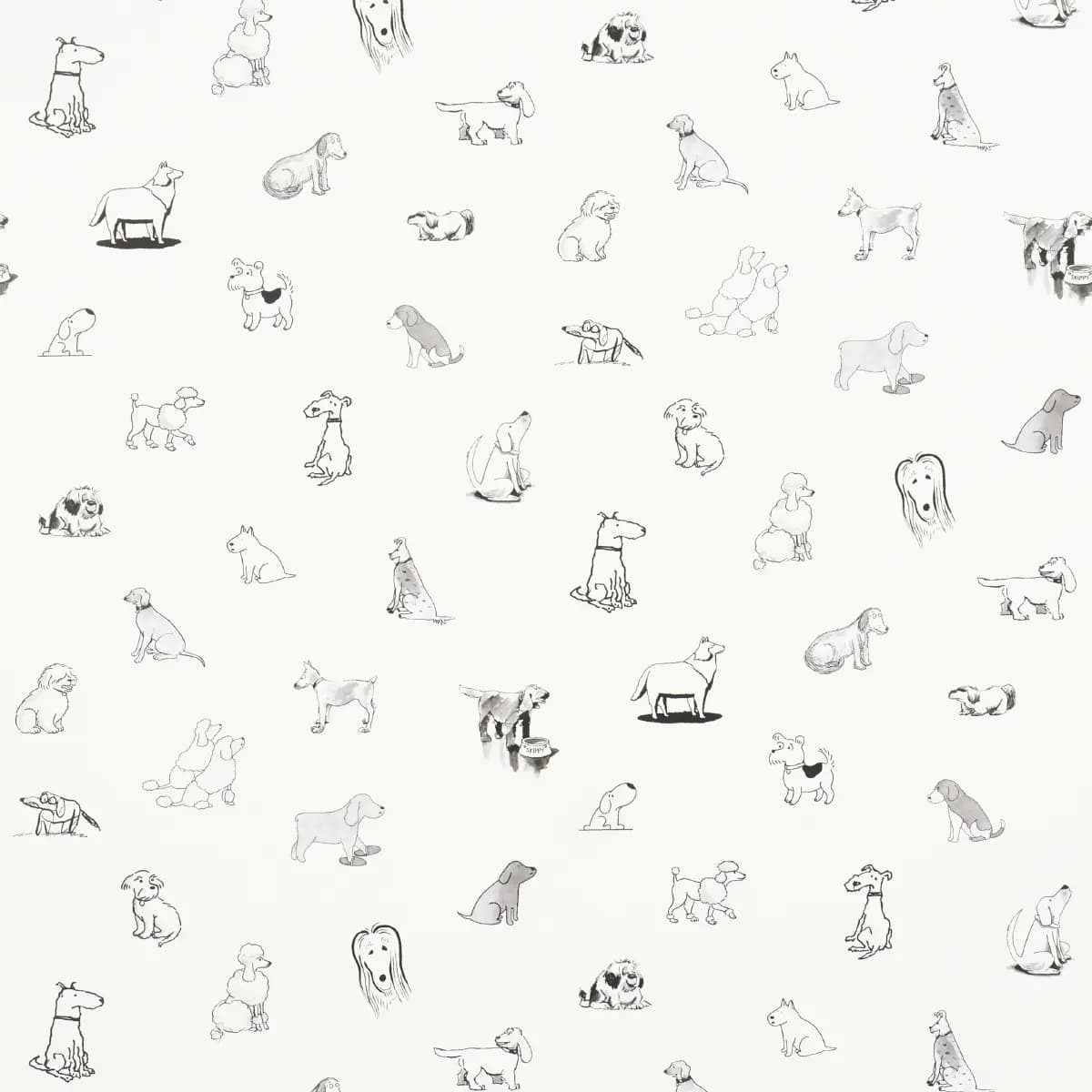 Good Dogs Everywhere_ BLACK & WHITE