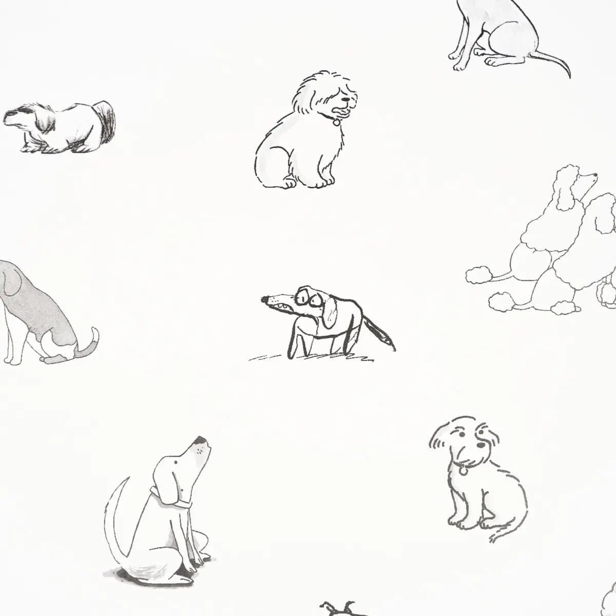 Good Dogs Everywhere_ BLACK & WHITE