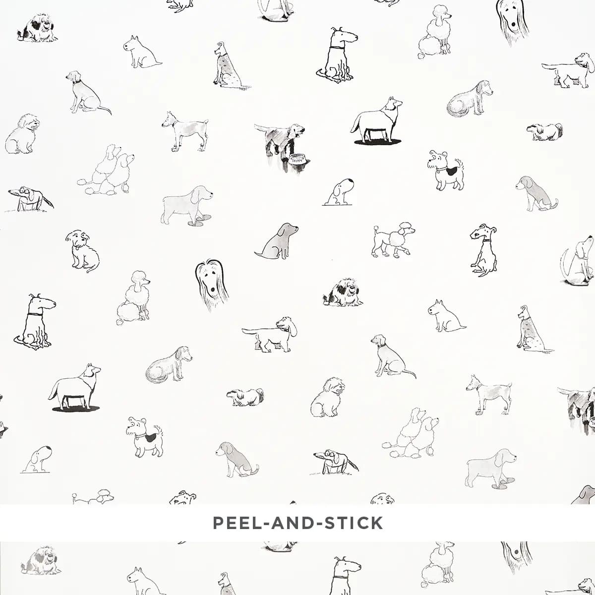 Good Dogs Everywhere_ BLACK & WHITE