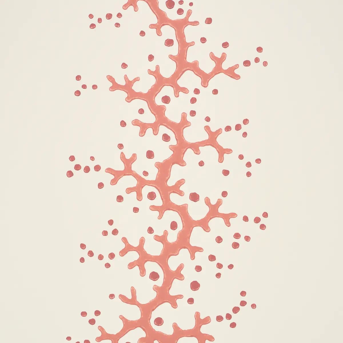 Coral Stripe_ CORAL