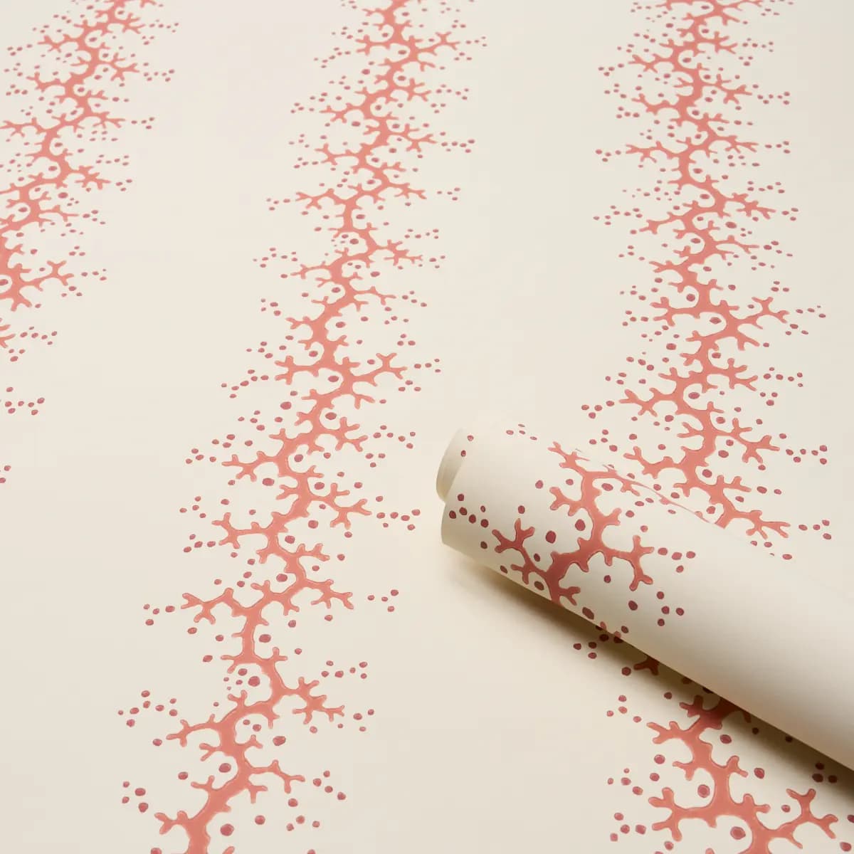 Coral Stripe_ CORAL
