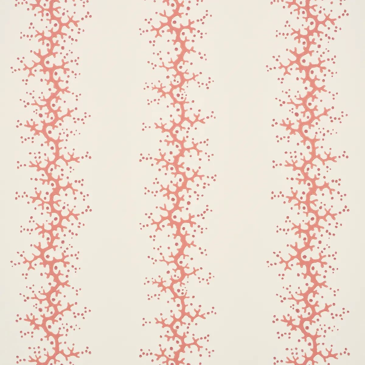 Coral Stripe_ CORAL