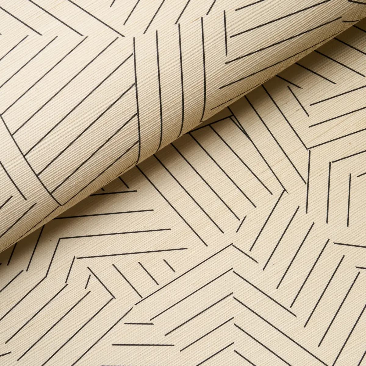 Deconstructed Stripe Sisal_ BLACK