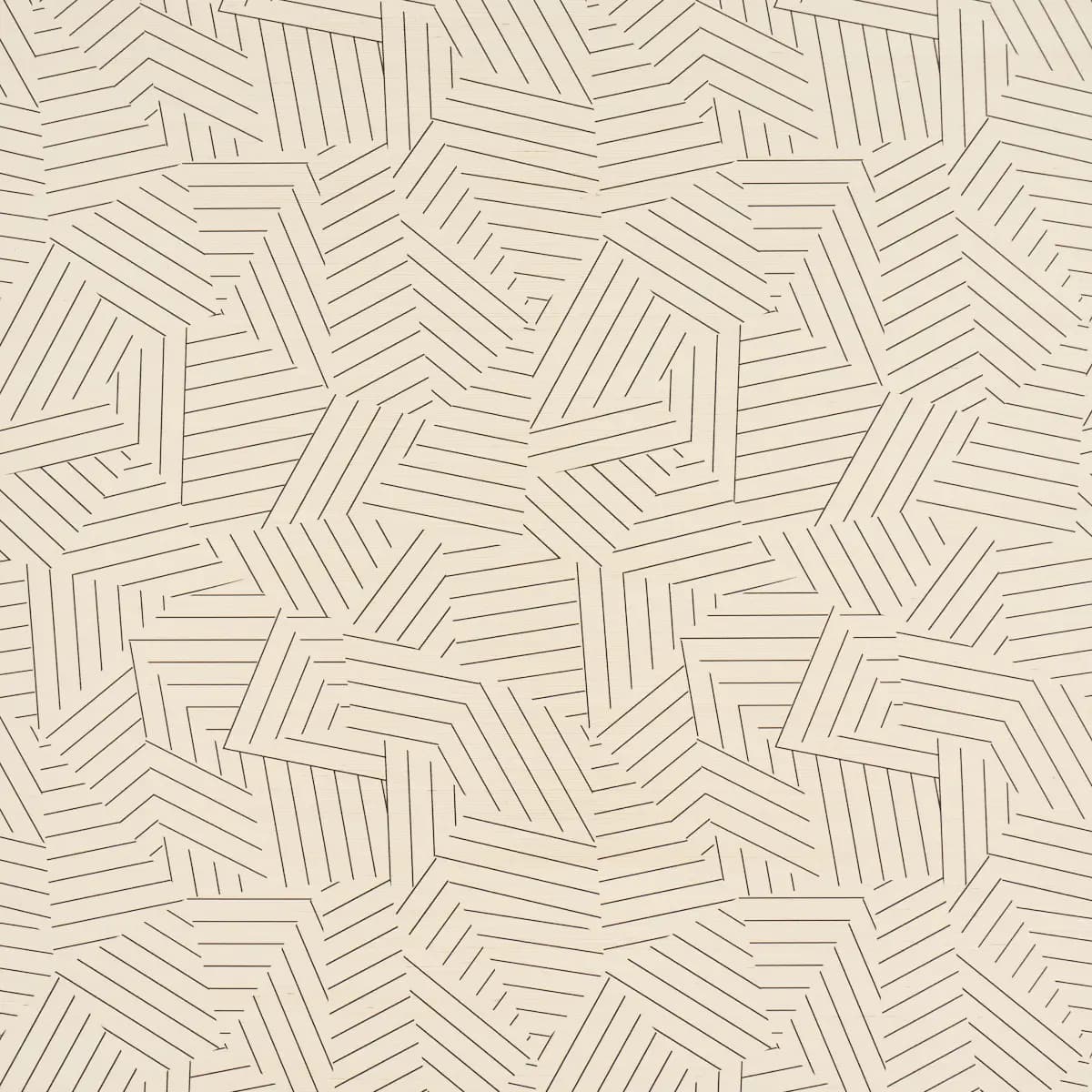 Deconstructed Stripe Sisal_ BLACK