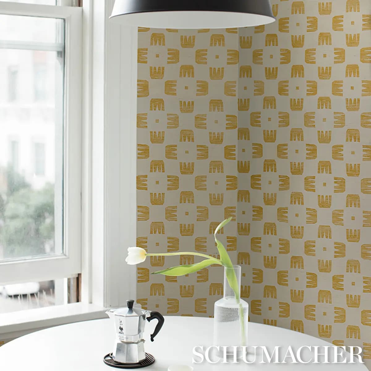 RAZE SISAL_ MAIZE