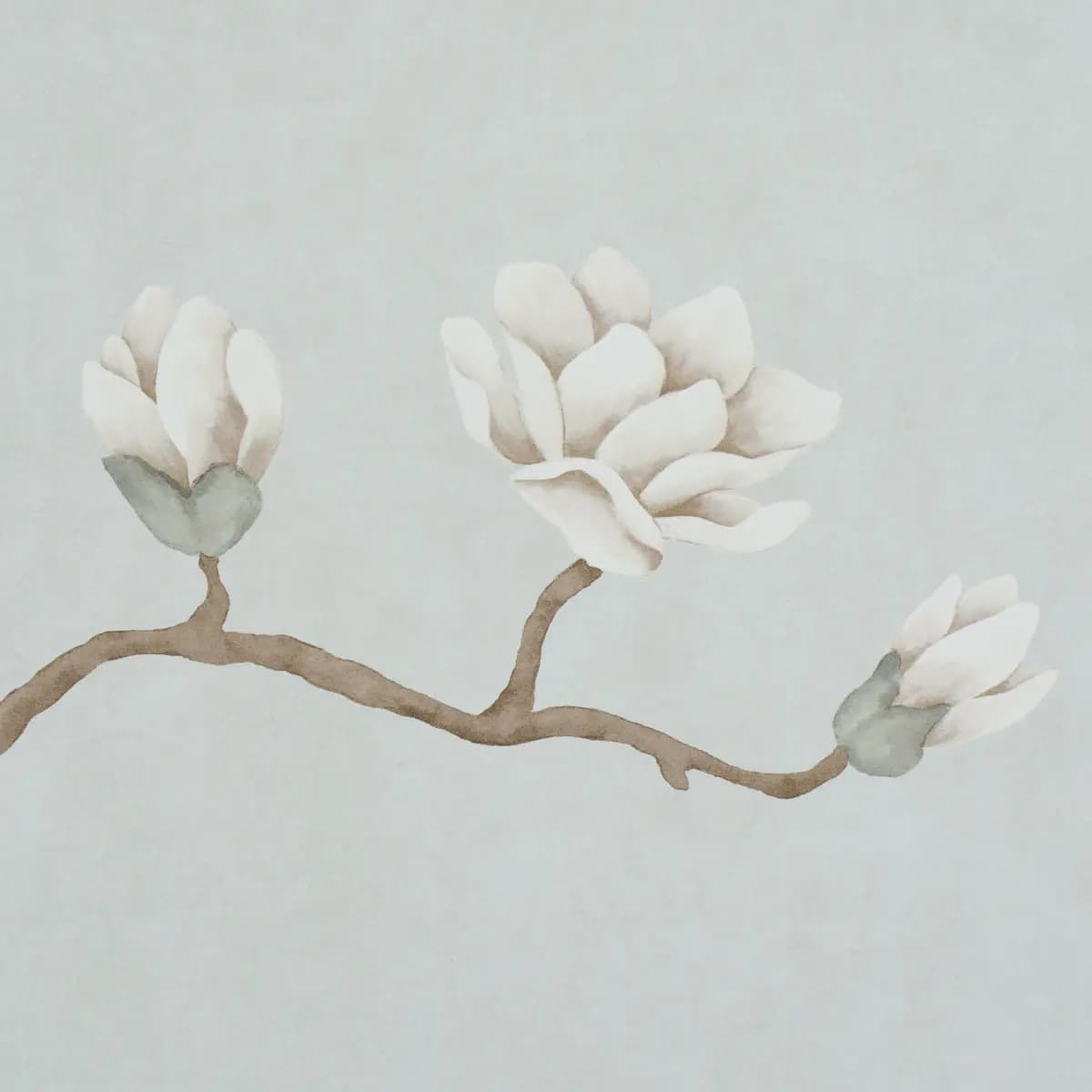 Magnolia Tree_ DUSTY SKY