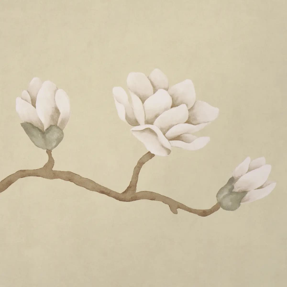 Magnolia Tree_ SOFT GOLD