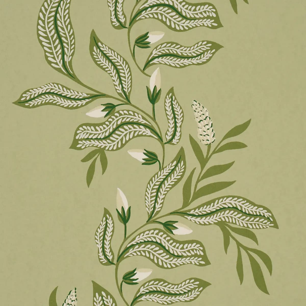 Vagary Vines_ HONEYDEW