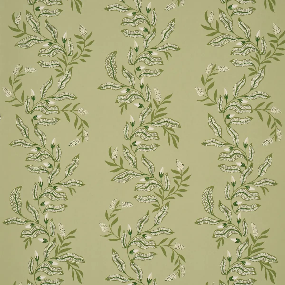 Vagary Vines_ HONEYDEW