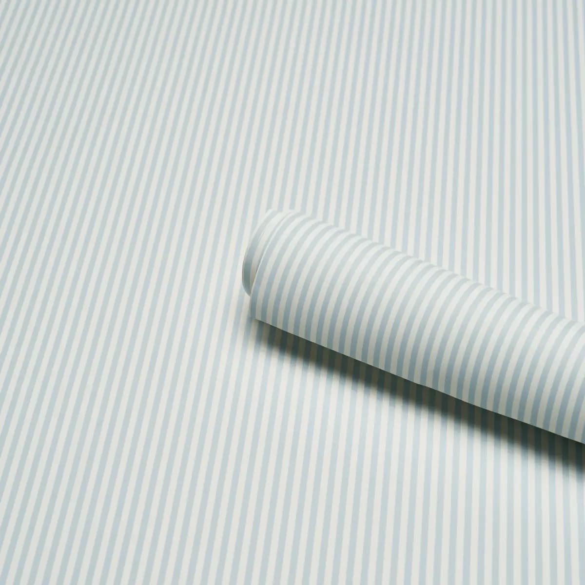 Emma Stripe Narrow_ SKY