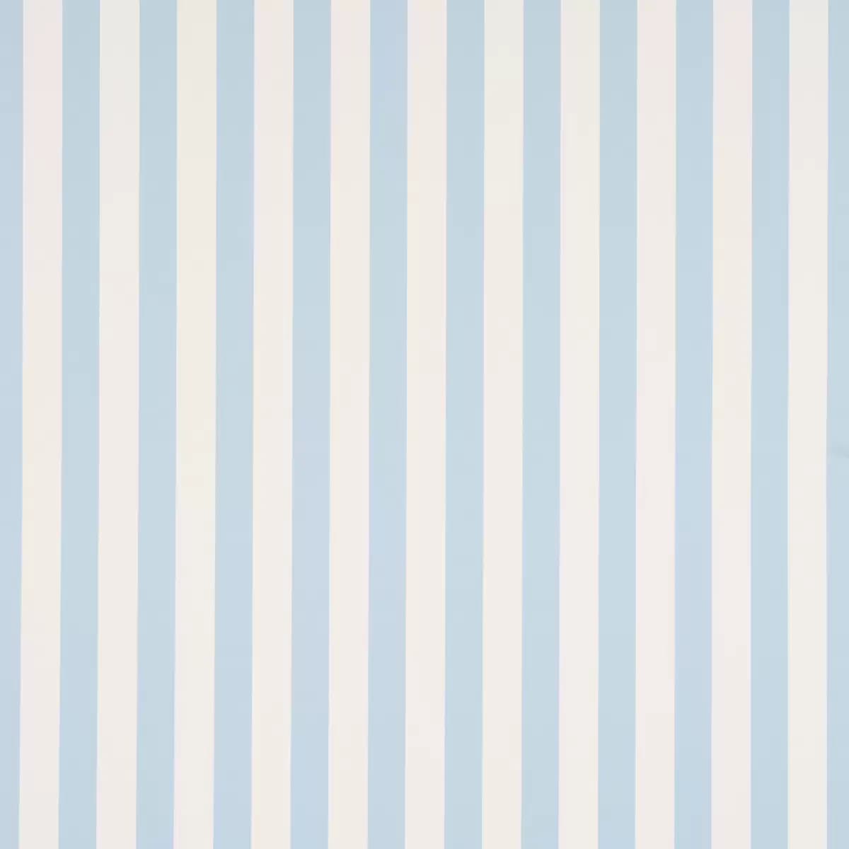 Emma Stripe_ ICE
