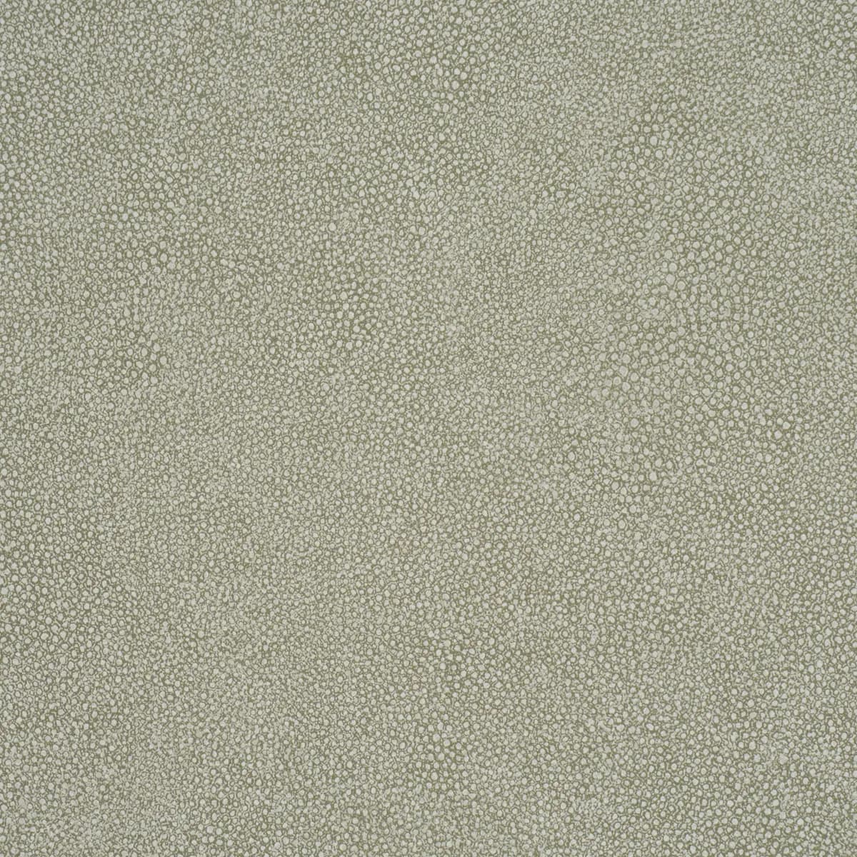 DUNBAR SHAGREEN VINYL_ OLIVE