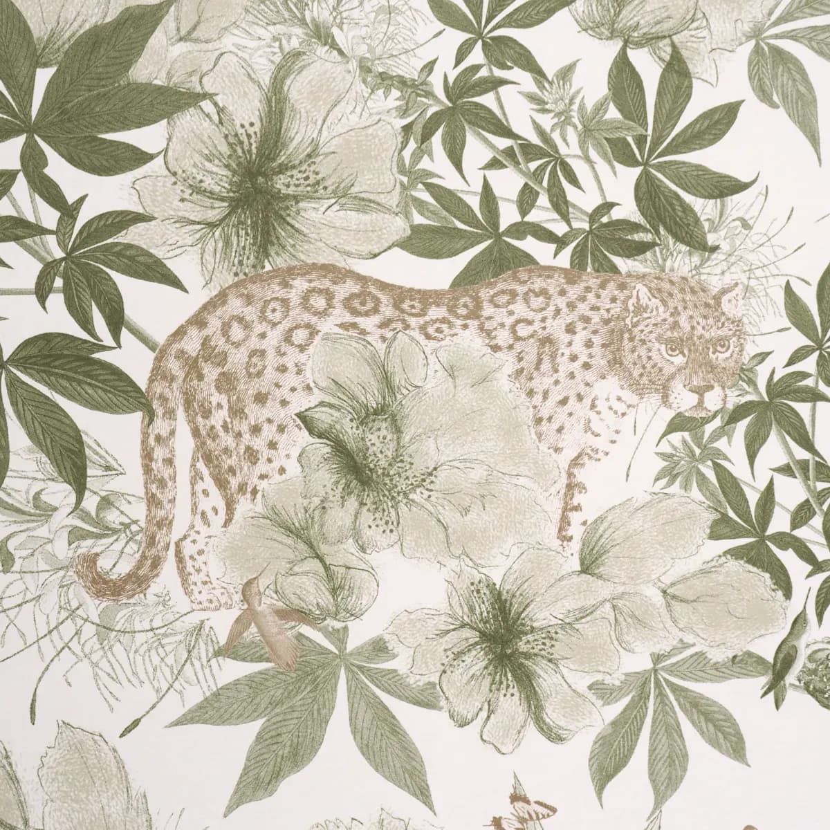 Nocturnum_ IVORY & OLIVE