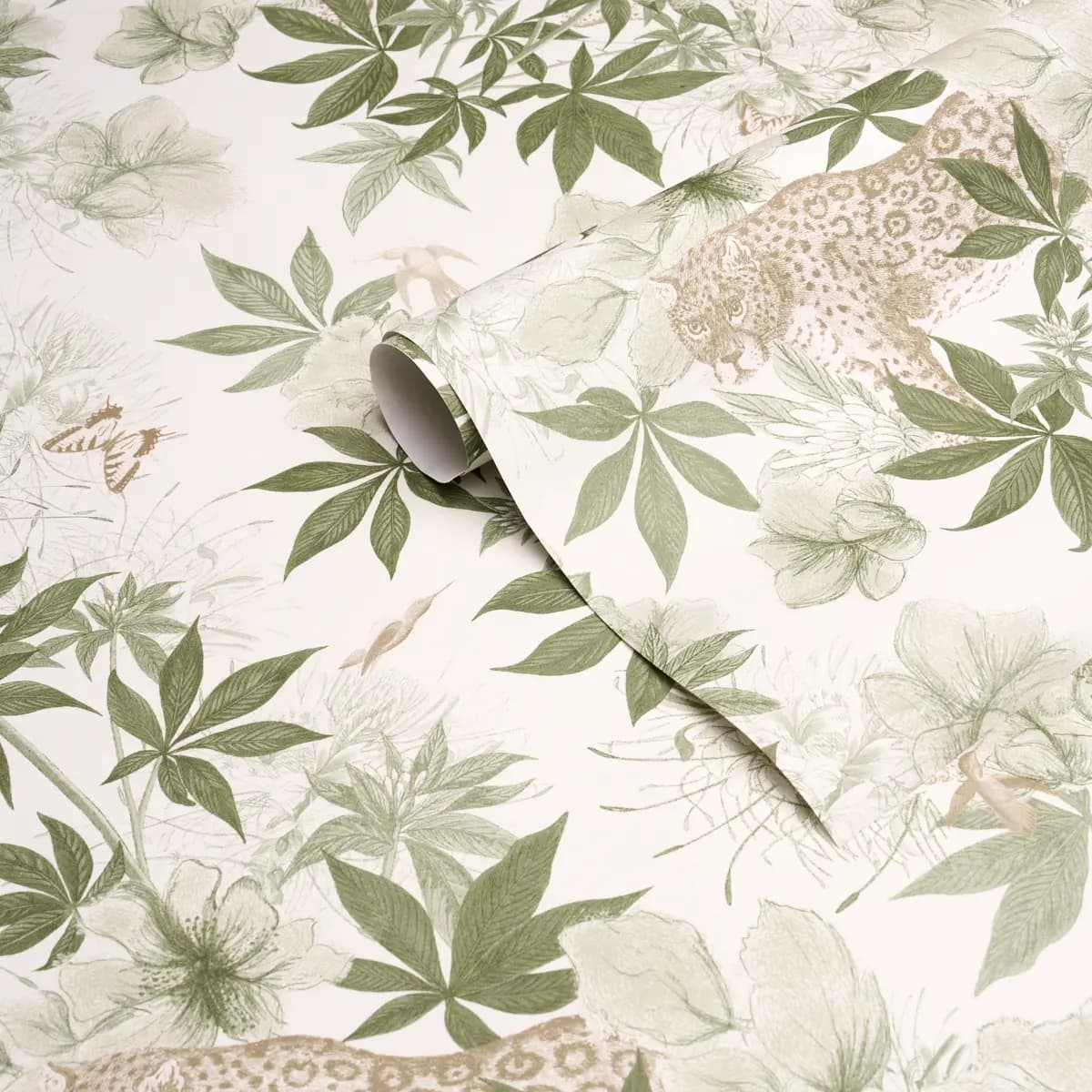 Nocturnum_ IVORY & OLIVE