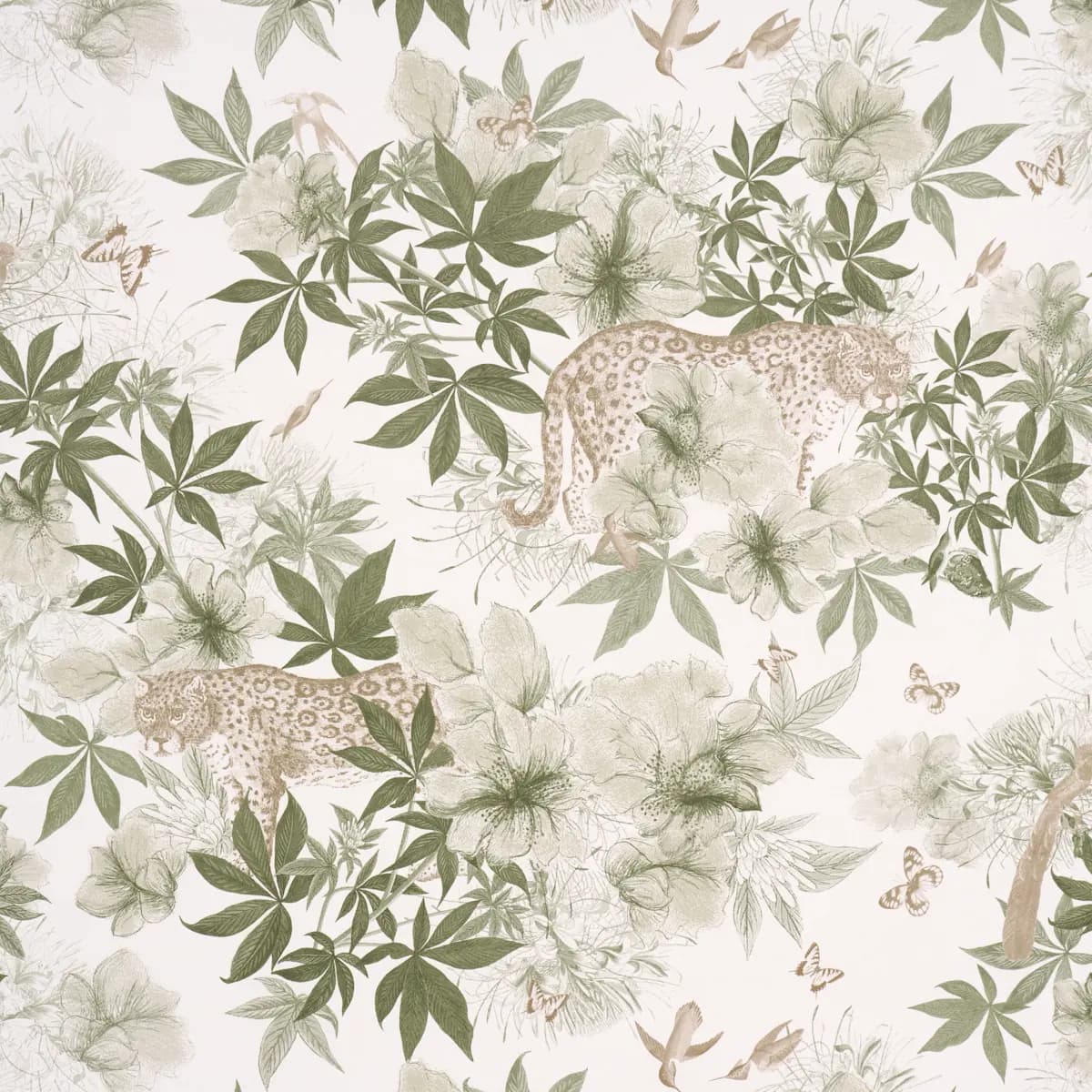 Nocturnum_ IVORY & OLIVE