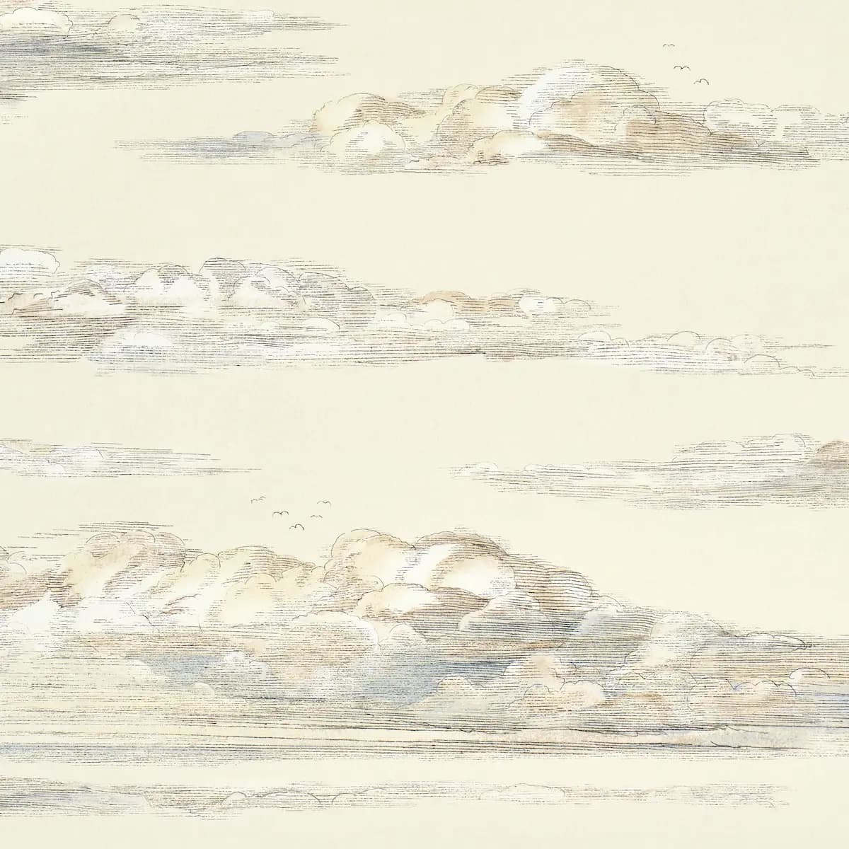 Mr. Darcy's Clouds_ PEMBERLEY